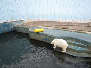 写真：今日のミルク（6月14日）1