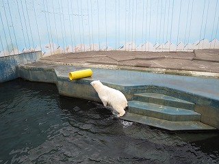 写真：今日のミルク（6月14日）2