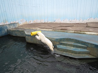 写真：今日のミルク（6月14日）3