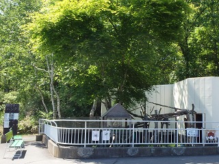 写真：レッサーパンダ舎の前（6月24日）