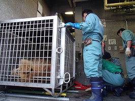 写真：アキラ健康診断4