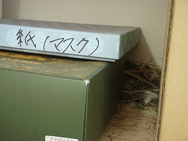 写真：スズメの巣1