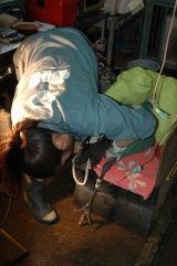写真:獣医さんのお仕事3