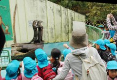 写真：動物園の様子5