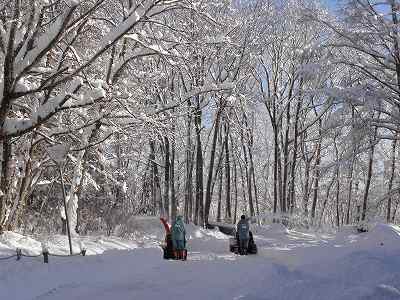 写真：園内を除雪する様子