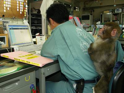 写真：偉そうに腕組みをしながらパソコンの画面を見ている福ちゃん