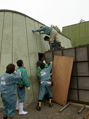 写真：グラントシマウマの搬入の様子3