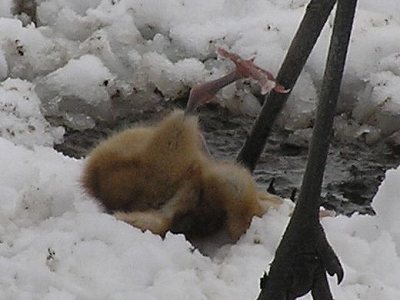 写真：衝撃の現場