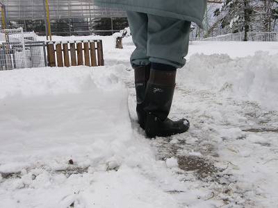 写真：雪の積もり具合