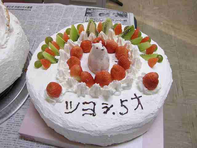 写真：ツヨシ用誕生ケーキ