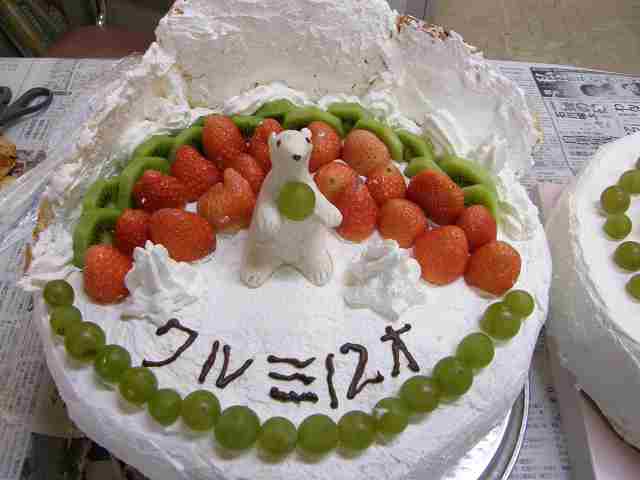 写真：クルミ用誕生ケーキ