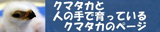 クマタカと人の手で育っているクマタカのページ