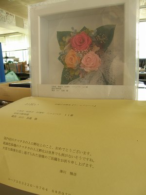 写真：いただいたお花とメッセージ