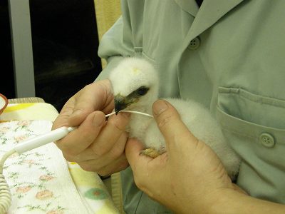 写真：7月21日、体温を測っている様子