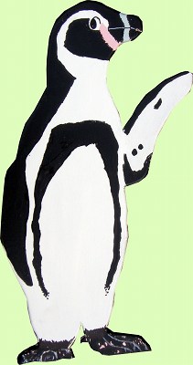 イラスト：フンボルトペンギン
