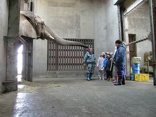 写真：総合学習中の様子