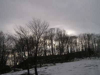 写真：冬の園内サル山前ステージ付近
