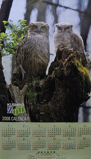 写真：2008年釧路市動物園オリジナルカレンダー