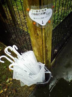 写真：ふくろうの森に設置された傘