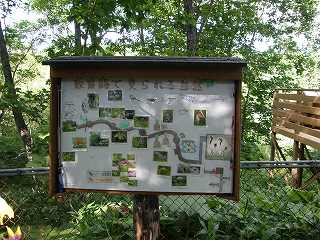 写真：木道散策路で見られる自然の看板