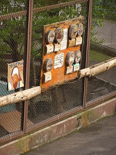 写真：フライングケージのヒナ脱出防止の木の板