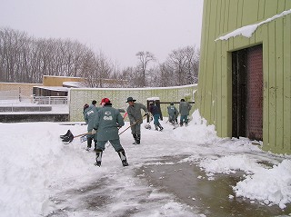 写真：飼育係り総出でゾウ運動場の除雪をしている様子