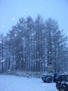 写真：あっという間に雪景色になった事務所裏の様子