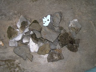 写真：ホッキョクグマのツヨシが排水口に入れた石の数々