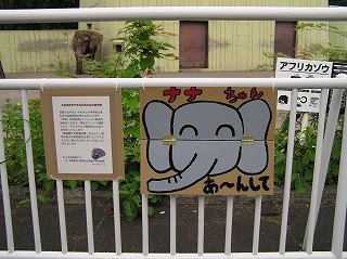 写真：長期研修で動物園に来ている先生が作った動物のエサがわかる看板