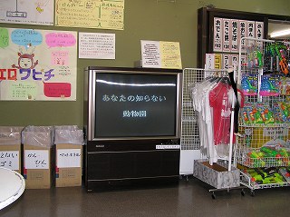 写真：展示館内で流れている動物園の映像記録