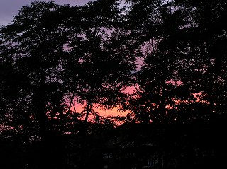 写真：職員駐車場から撮影した夕焼け