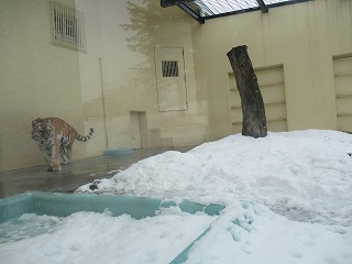 写真：3月16日（水曜日）ココア2