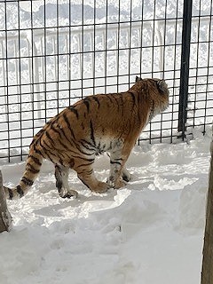 写真：3月20日（日曜日）ココア1