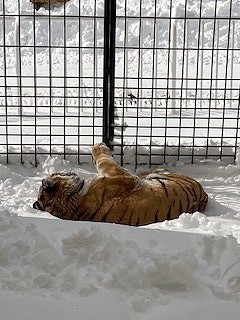 写真：3月20日（日曜日）ココア2