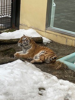 写真：3月26日（土曜日）ココア1