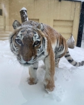 写真：2月20日（日曜日）ココア4