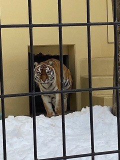 写真：2月27日（日曜日）ココア1