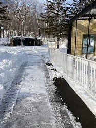 写真：雪壁