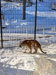 写真：1月25日ココア2