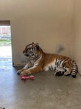 写真:12月4日ココア2