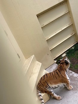 写真:12月4日ココア5