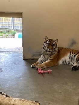 写真:12月4日ココア3