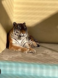 写真:12月10日ココア2