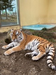 写真:12月15日ココア1