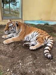 写真:12月15日ココア2