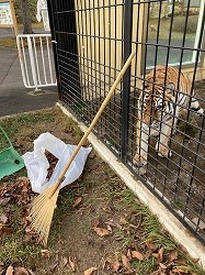 写真:12月15日ココア3