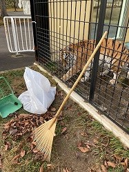 写真:12月15日ココア5