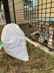 写真:12月15日ココア6