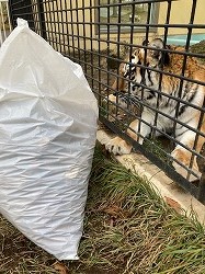 写真:12月15日ココア7