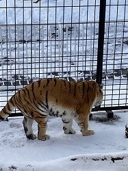 写真:12月21日ココア2